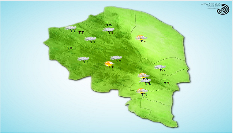 جوی