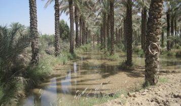 آبیاری