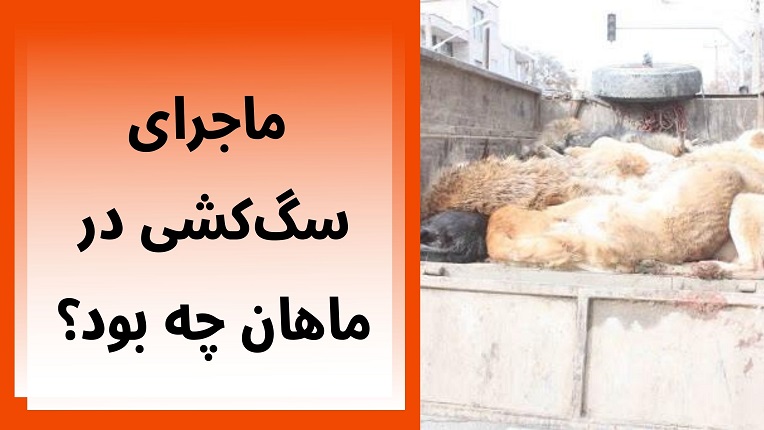 ماجرای سگ کشی