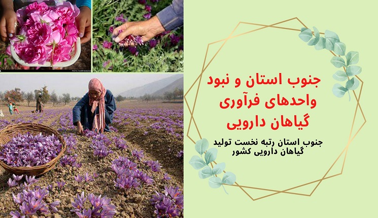 گیاهان دارویی