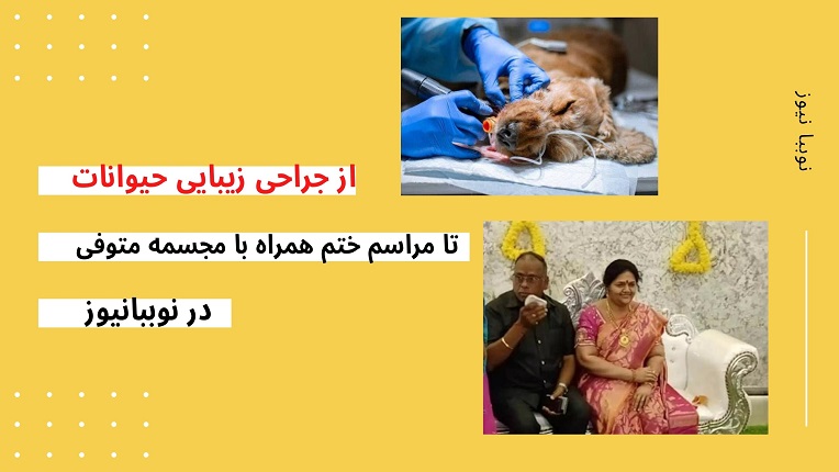 از جراحی زیبایی حیوانات تا برگزاری مراسم ختم همراه با مجسمه متوفی