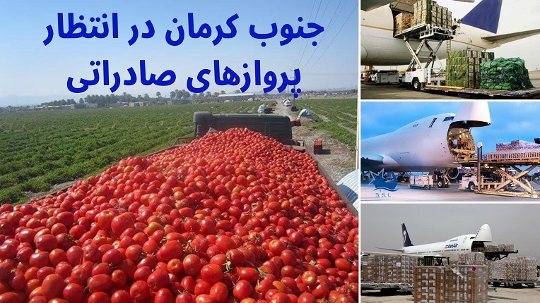 صادرات محصولات کشاورزی