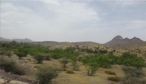 عنبرآباد