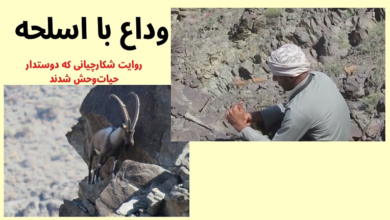 دوستدار حیات‌وحش