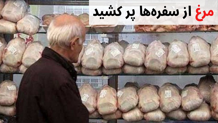 قیمت مرغ در استان