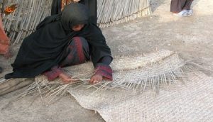 ابلاغ مراتب ثبت ملی ۱۱ میراث ناملموس به استاندار کرمان
