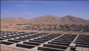 آرامستان جدید شهر کرمان