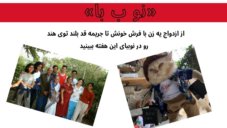 ازدواج با فرش خونه