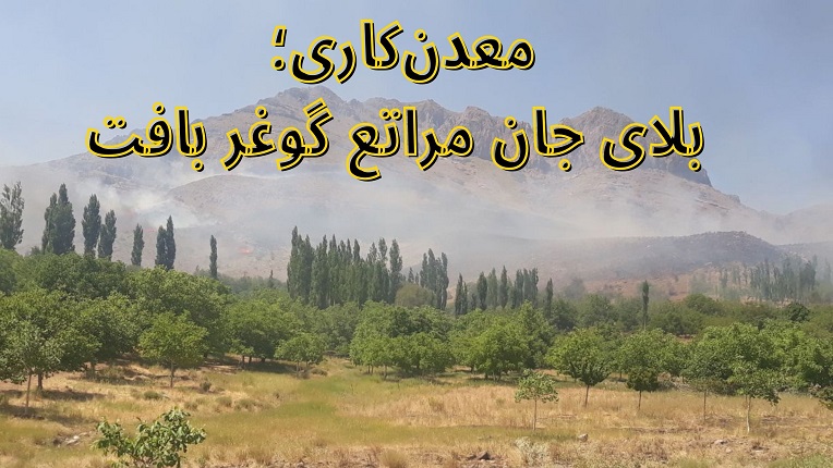 مراتع گوغر بافت