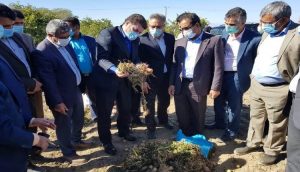 سفر استاندار کرمان به مناطق جنوبی استان