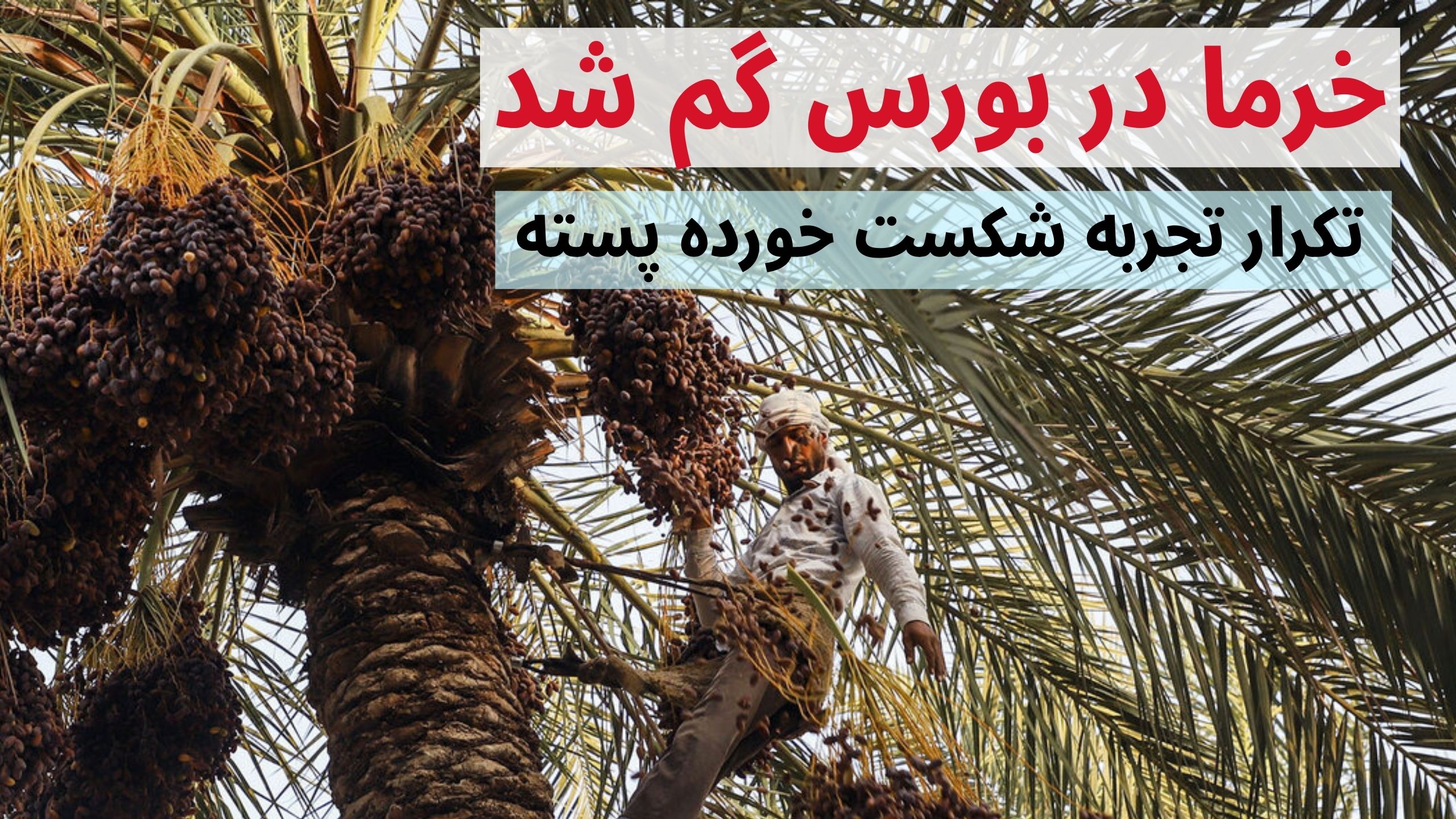 خرما در بورس
