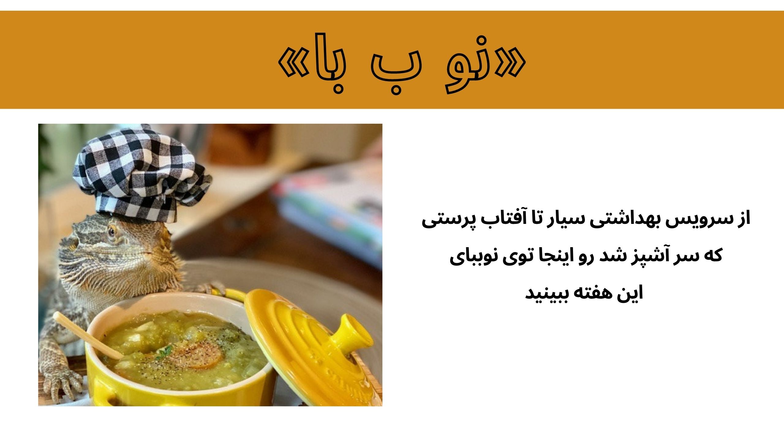 سرویس بهداشتی سیار