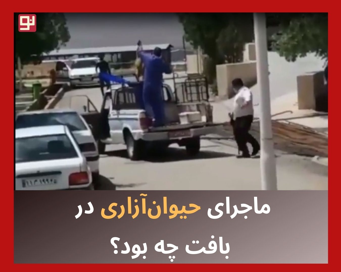 حیوان‌آزاری در بافت