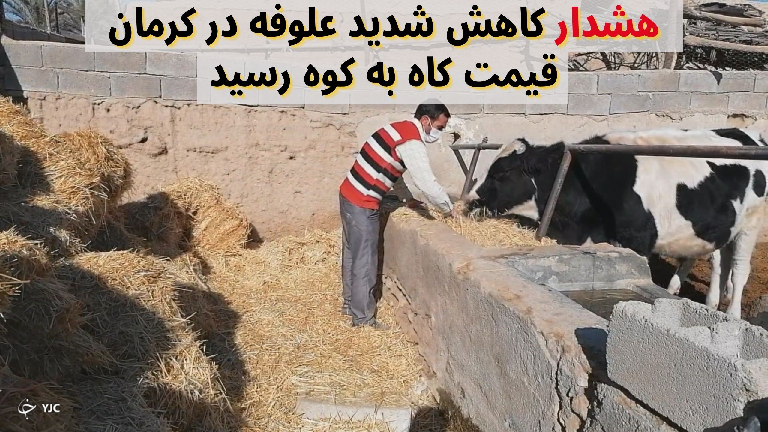 قیمت کاه