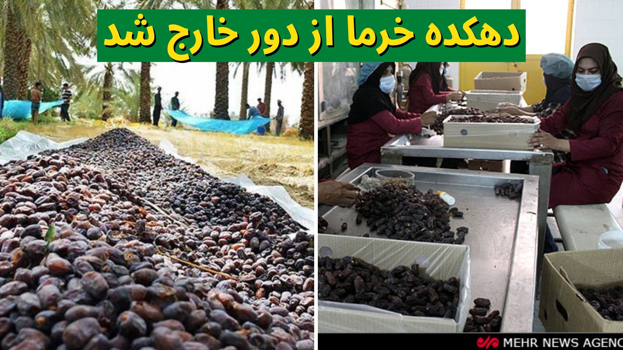 دهکده خرما