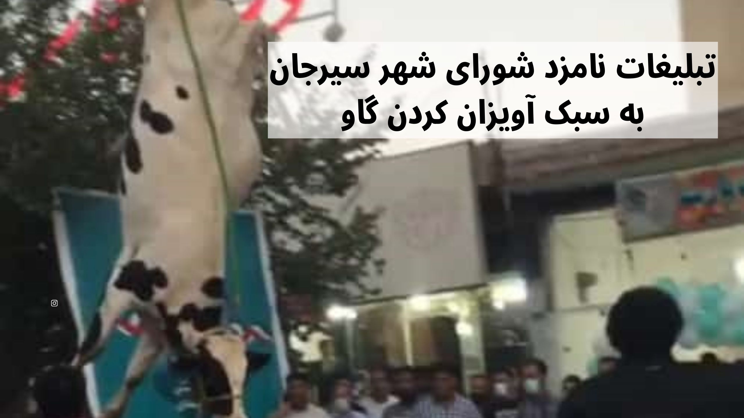 تبلیغات نامزد شورای شهر