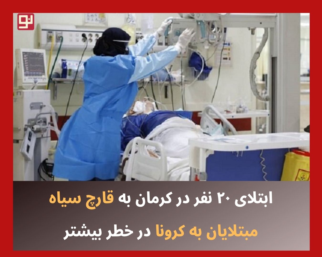 قارچ سیاه