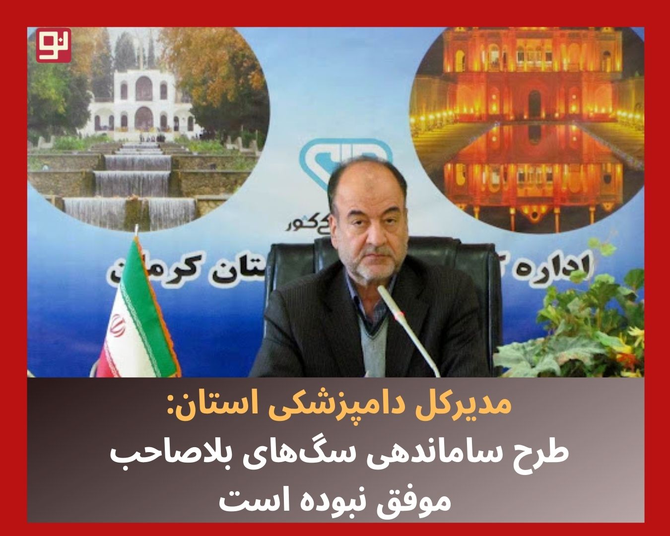 سگ‌های بلاصاحب