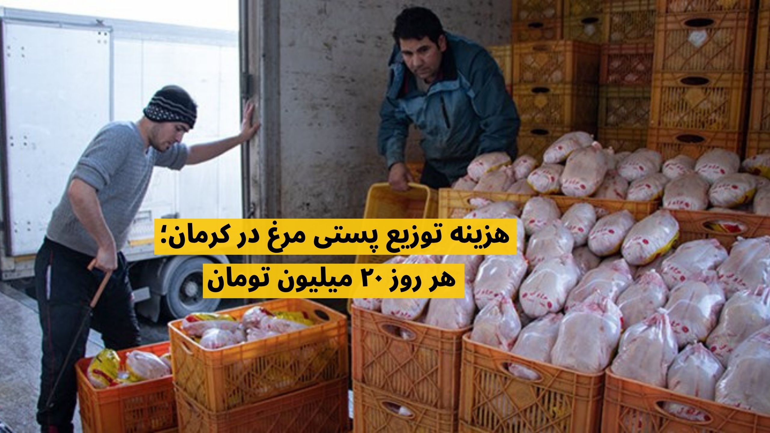 توزیع پستی مرغ