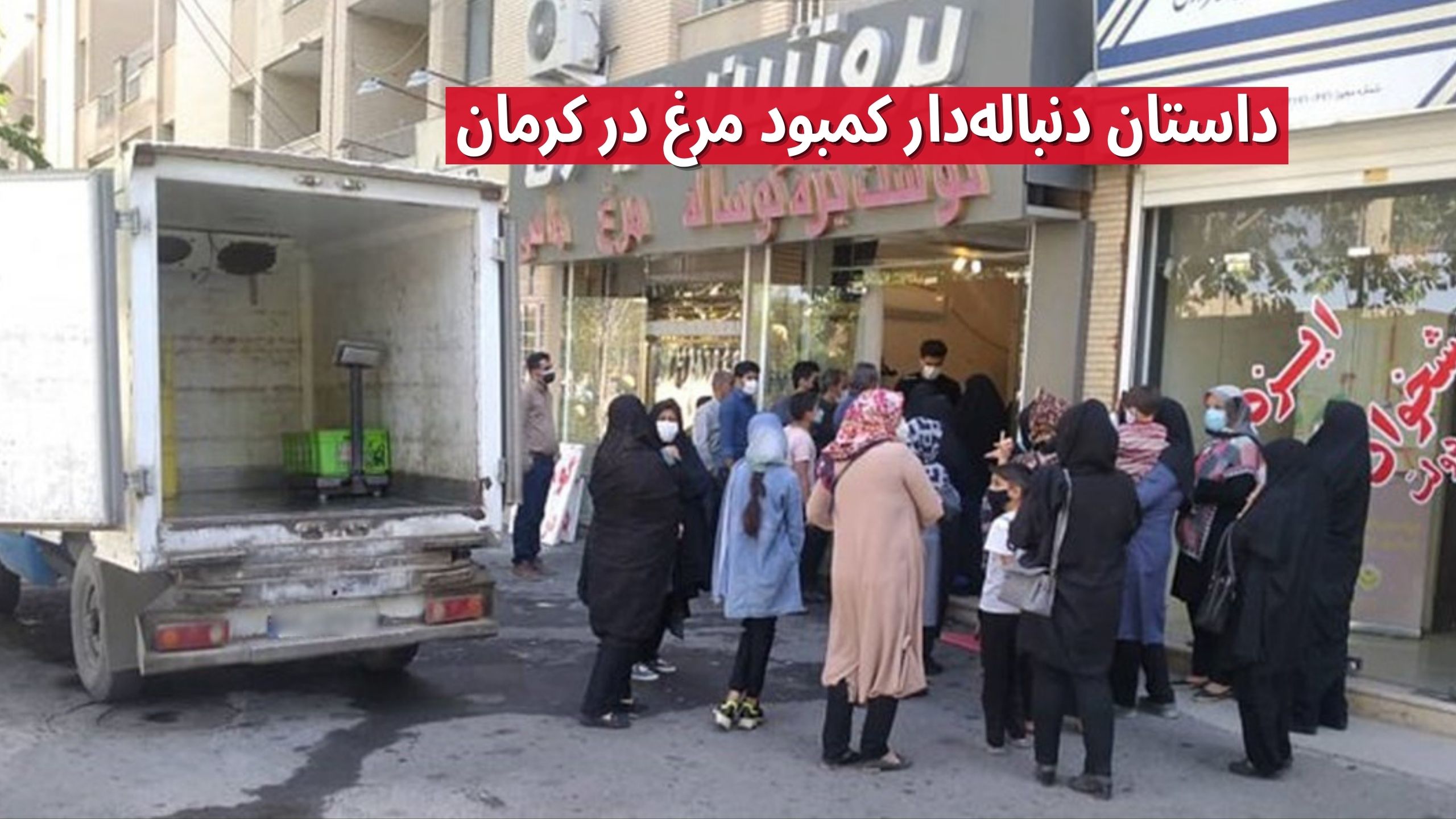 کمبود مرغ در کرمان