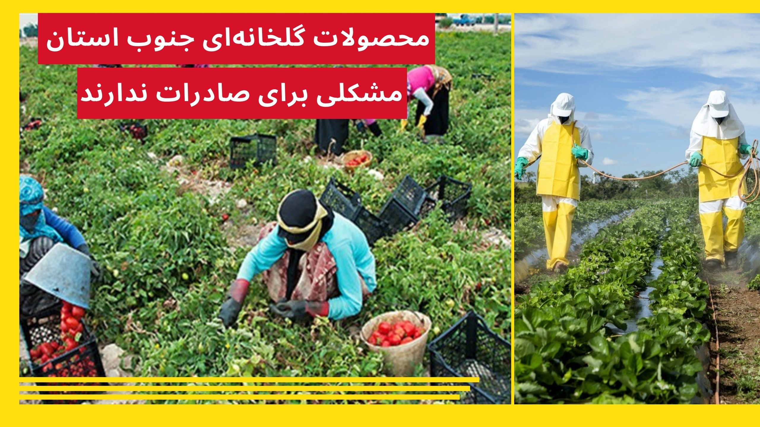 سموم کشاورزی
